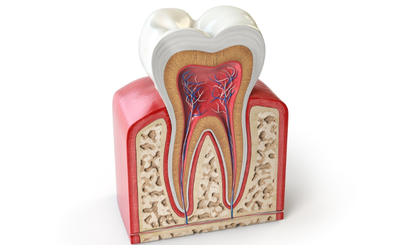 Can An Emergency Dentist Do A Root Canal